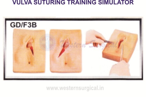 Valva Suturing Training Simulator