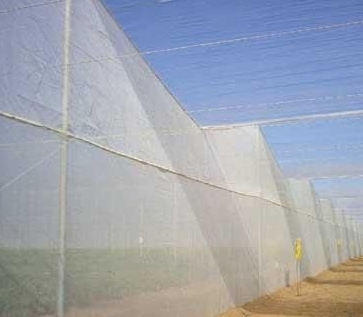 Insect UV Agriculture Net Fabrics Insect UV Agriculture Net Fabrics
