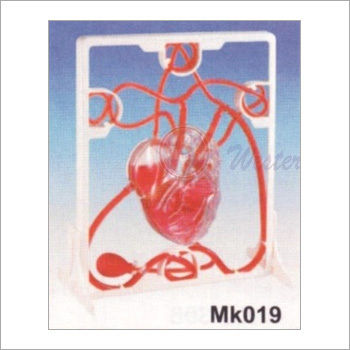 Pumping Heart (MK 019)