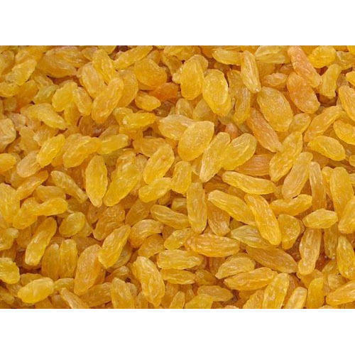 Golden raisin