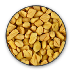 Fenugreek Seed