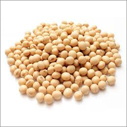 Organic Soybean