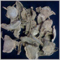Kapur Kachri Oil Cas No: 93455-95-9