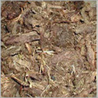 Organic Spikenard Essential Oil - CAS No. 8022-22-8, Pure 100%, Pale Green to Olive Brown Liquid, 5-Year Shelf Life, Rich in Antibacterial & Anti-inflammatory Properties - Ideal for Aromatherapy & Skin Care