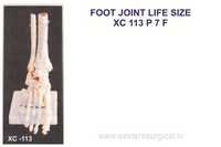 FOOT JOINT