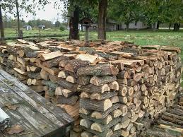 Hornbeam Firewood