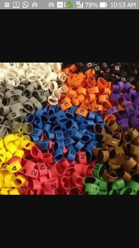 Colour Coded Ferrules