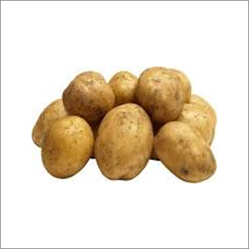 Potato