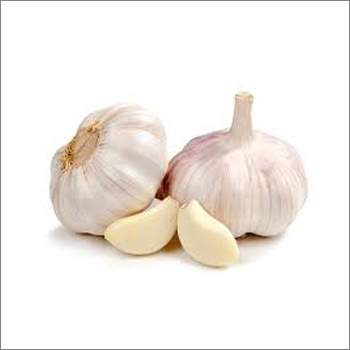 Garlic - Hardneck Bulb, White Color | Flavorful, Versatile, Aromatic, Easy To Use