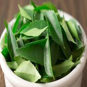 Curry Leaves