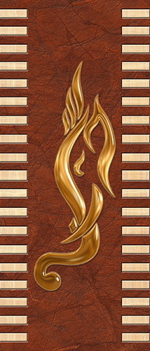 Fancy Lamination Door Skin
