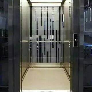 Stainless Steel Passenger Elevators