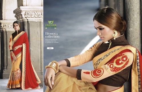 Hand Embroidered Saree