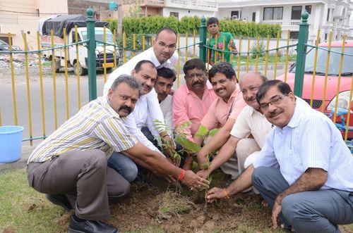 plant a tree next generation can get air for free