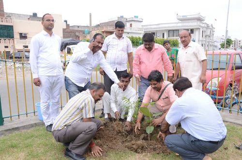 SAVE THE TREE, SAVE THE EARTH