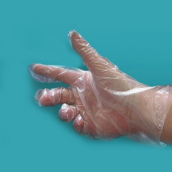 Examination Poly Glove