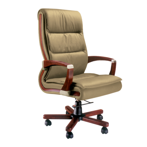 CEO Series Chair