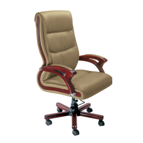 CEO Series Chair