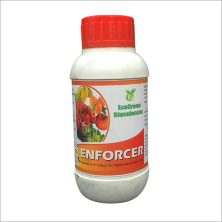 Enforcer