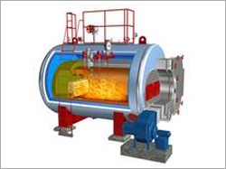 Solid Fuel Fired Boiler