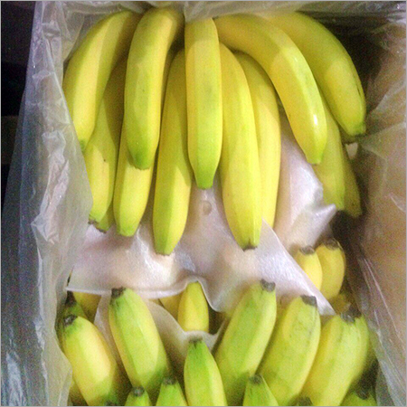 Cavendish Banana