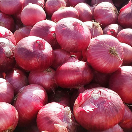 Bellary Onion