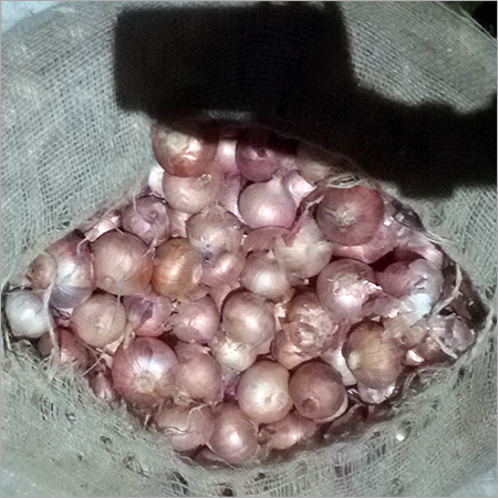 Nashik Onion