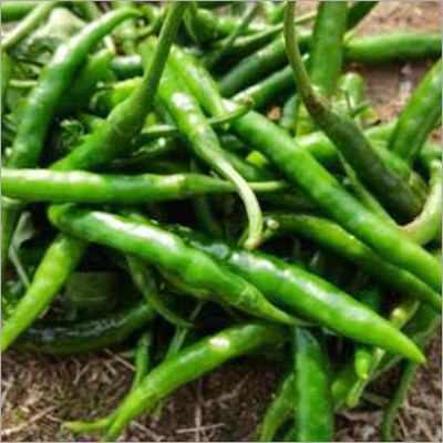 Organic Green Chilli
