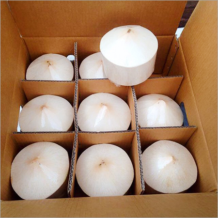 Trimmed Tender Coconut