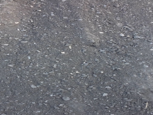 Bituminous Coal