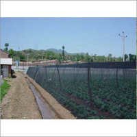Green Shade Net House