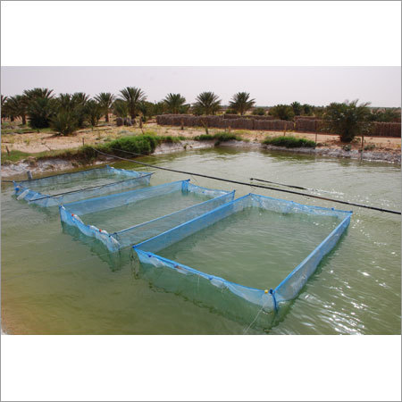 Fish Breeding Net