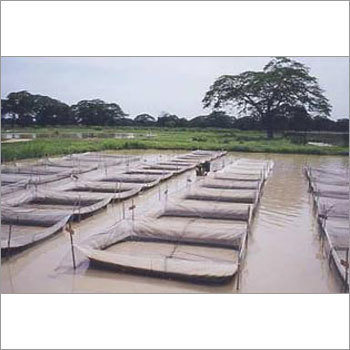 Fish Breeding Net Box
