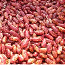 Red Kidney Beans