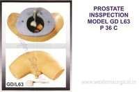Prostate Inspection Model