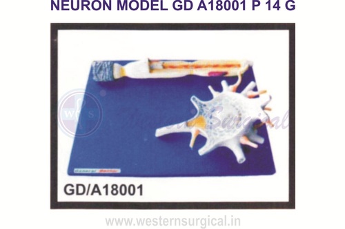 Neuron model