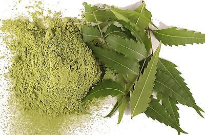 Azadirachta Indica Powder