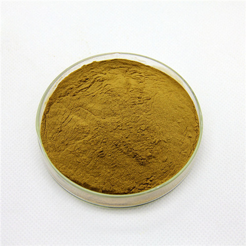 Bacopa Monnieri Powder