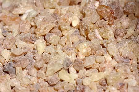 Boswellia Serrata Powder