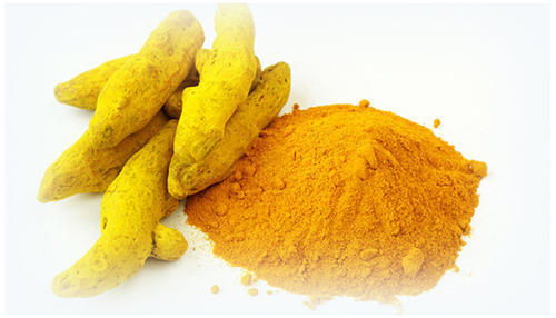 Curcuma Longa (TURMERIC, Haldi)