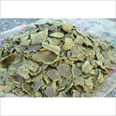 Cotton Seeds Oil Cake