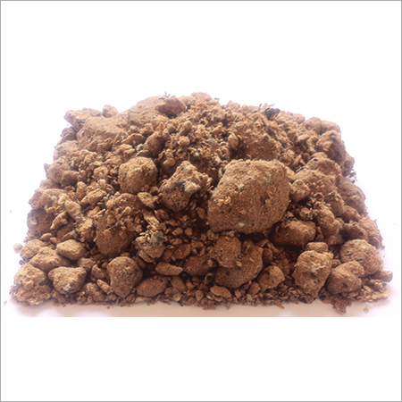 Cotton Seeds Meal