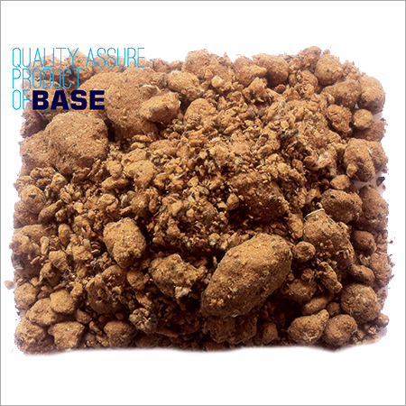 Cattle Feeds