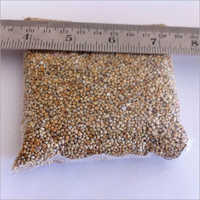 Organic White Millet