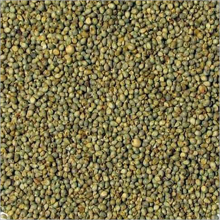 Green Millet