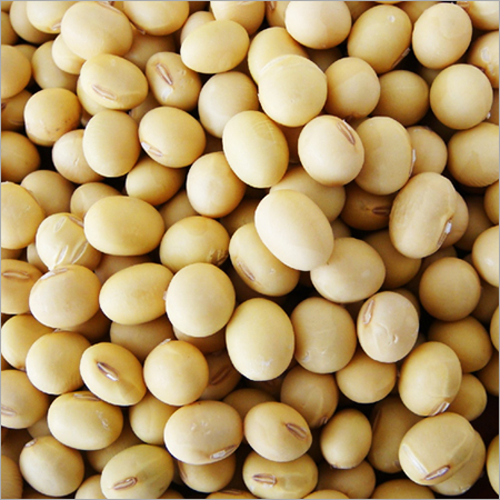 Soyabean