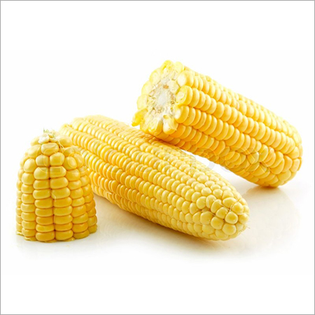 Yellow Corn