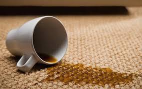 Carpet Spot Remover (Concentrated)