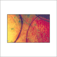 Fibreglass Roofing Sheets