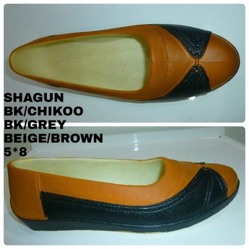 SHAGUN-BK/CHIKOO